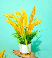 জাতীয়তাবাদী চেতনার প্রতীক ধানের শীষ