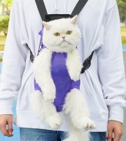 Cat Carry Bag Blue